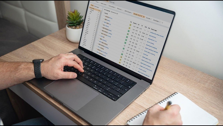 SEO tools for online business growth